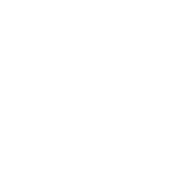 Repruni