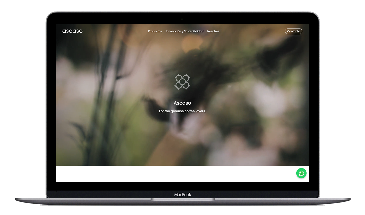Diseño y Desarrollo Web para Ascaso Ecuador